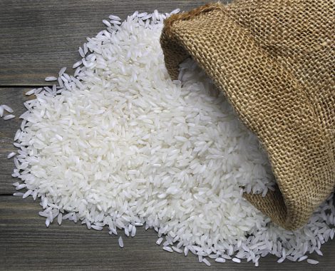 Rice_AdobeStock_64819529_E