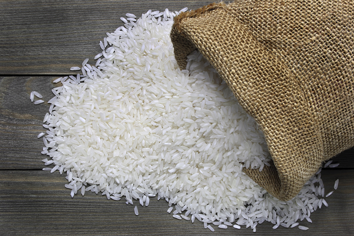 Rice_AdobeStock_64819529_E
